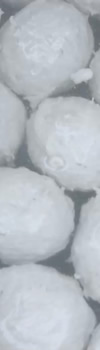 ¶