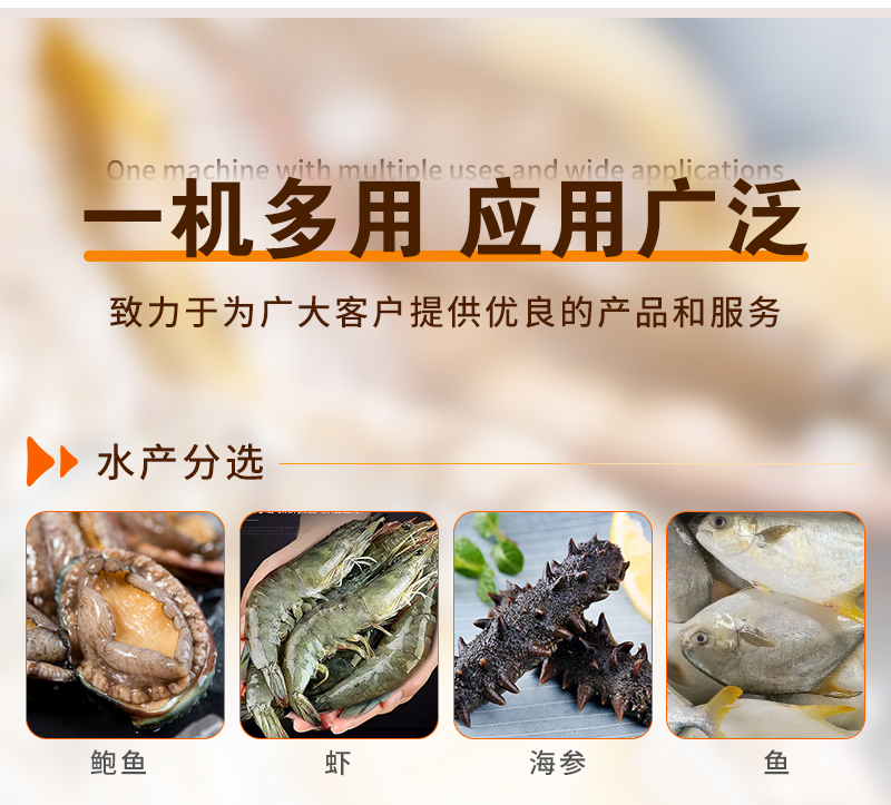 һӦù㷺ĳطѡ